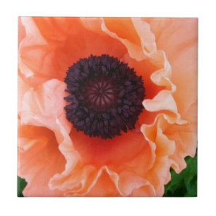 Poppy Flower Tile Tegeltje