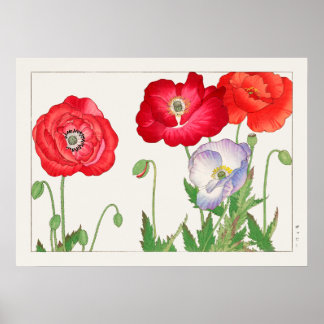 Poppy Flowers, rood en Paars, door Tanigami Konan, Poster