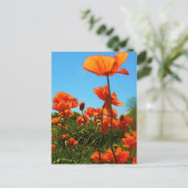 Poppy-foto Briefkaart (Staand voorkant)