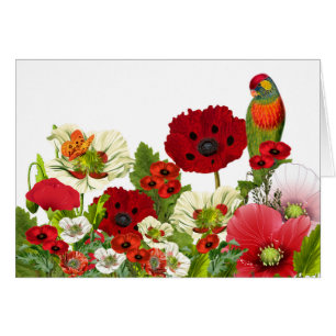 Poppy Garden met een Loriket Parrot Blank