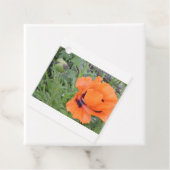 Poppy Gift Label (In situ)