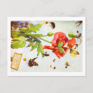Poppy Gnome Briefkaart