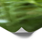 Poppy ingelijste print (Hoek)