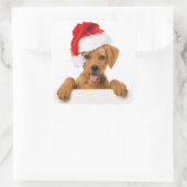 POPPY MET STICKER VAN Santa hat ENVELOPE SEAL (Tas)