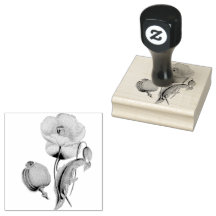 Poppy Pods Bloemen Bloemen Bloemen