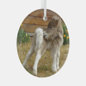 Poppy Pony Glas Ornament (Voorkant Rechts)