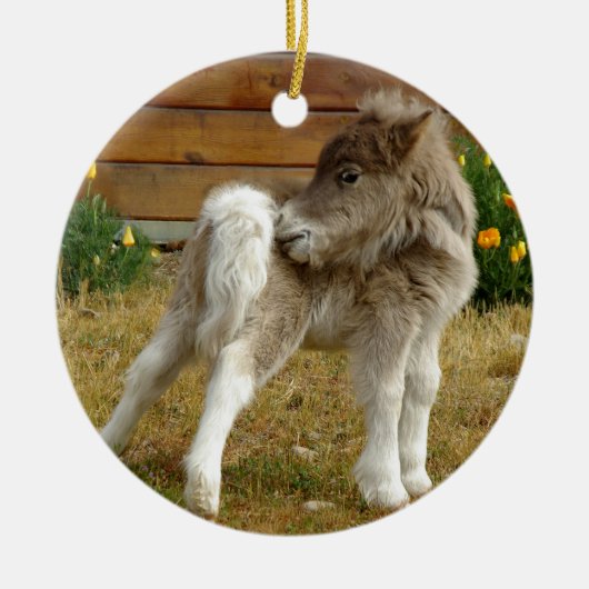 Poppy Pony Keramisch Ornament (Voorkant)