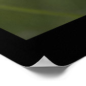 Poppy. Poster door cARTerART (Hoek)