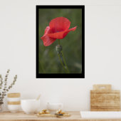 Poppy. Poster door cARTerART (Keuken)