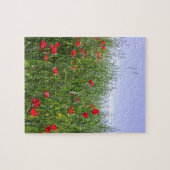 Poppy Puzzle Legpuzzel (Horizontaal)