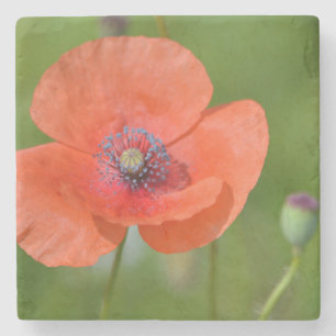 Poppy Stone Onderzetter