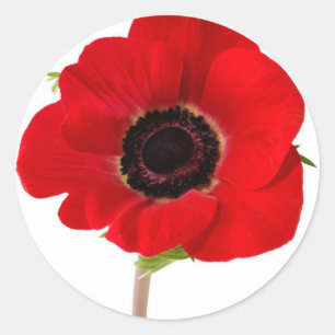 POPPY van Herdenking Ronde Sticker