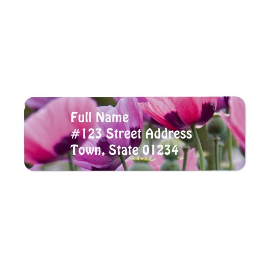 Poppy veld mailing label (Voorkant)