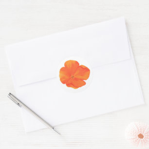 Poppy Wildflower Oranje Sticker