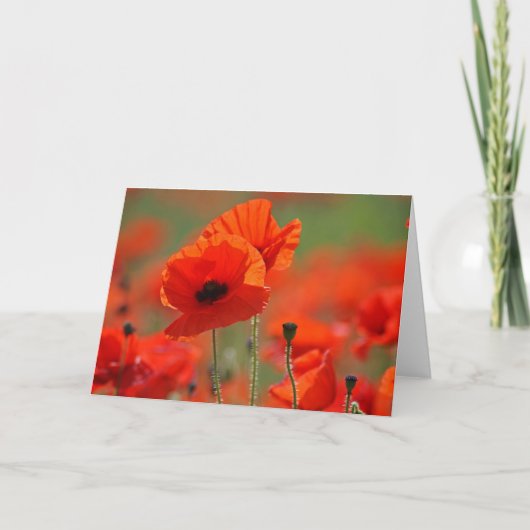 Poppys. Kaart (Voorkant)