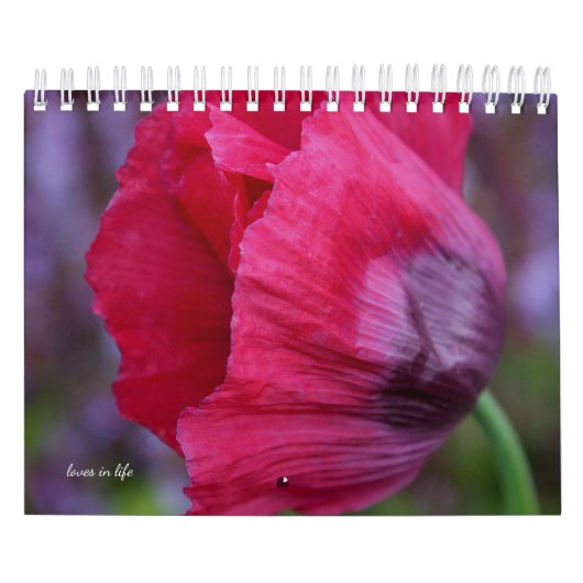 Poppyventilator Kalender (Hoes)