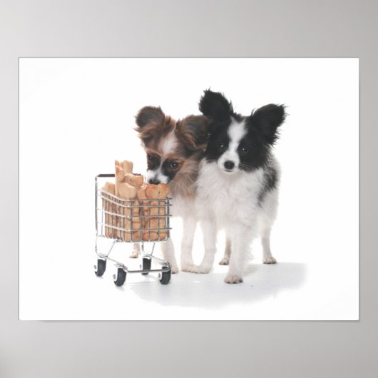 POPS MET KAART POSTER (Voorkant)