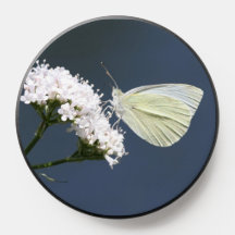 PopSocket à papillon blanc