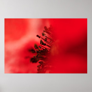Populair hart poster
