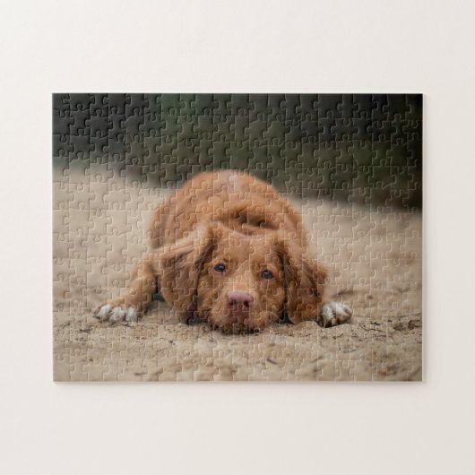 Populair ontwerp voor honden legpuzzel (Horizontaal)