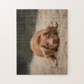 Populair ontwerp voor honden legpuzzel (Verticaal)