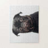 Populair ontwerp voor honden legpuzzel (Verticaal)