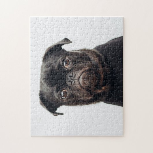 Populair ontwerp voor honden legpuzzel (Verticaal)