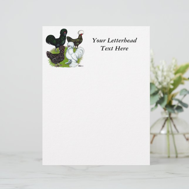 Populair witkuikenkwartet (Staand voorkant)