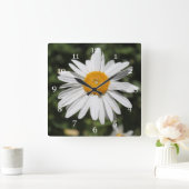 populaire bloem ,  wild witte dagfoto vierkante klok (Huis)