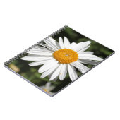 populaire bloem, witte dagfoto notitieboek (Linkerzijde)