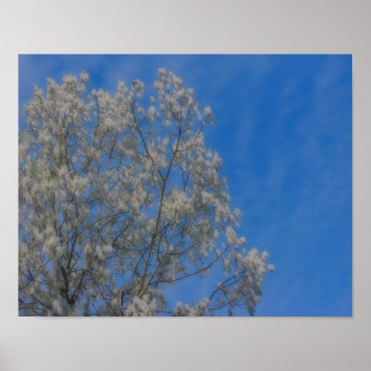 Populaire boompluissneeuw in juni Orton Natuur Art Poster (Voorkant)