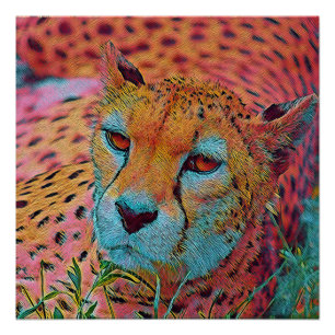 populaire dieren - Cheetah Perfect Poster