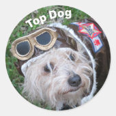 Populaire dog crème-papuppy ronde sticker (Voorkant)