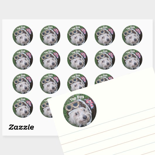 Populaire dog crème-papuppy ronde sticker