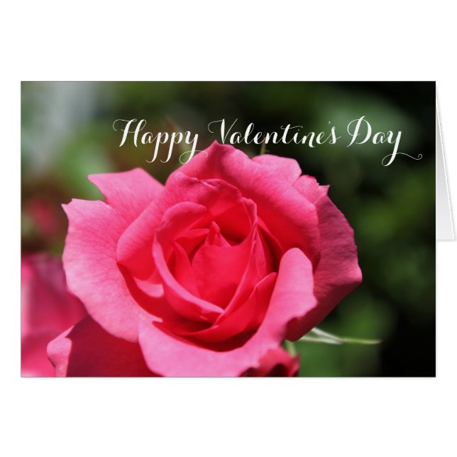 Populaire perfecte roze roze roze roze bloem blij  (Voorkant Horizontaal)