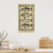  populaire zoetwatervis van Louis Rhead Poster (Keuken)