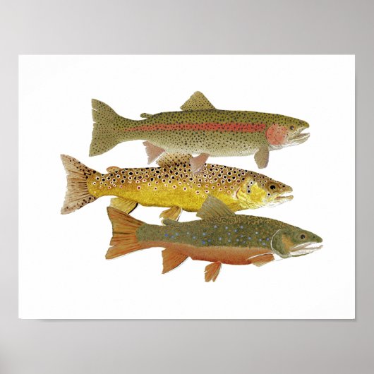 Populairste forel poster (Voorkant)