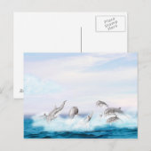 Populatie-dolfijnen Briefkaart (Voorkant / Achterkant)