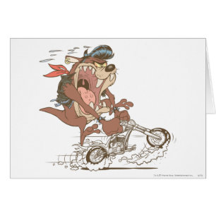 Porc à fente TAZ™