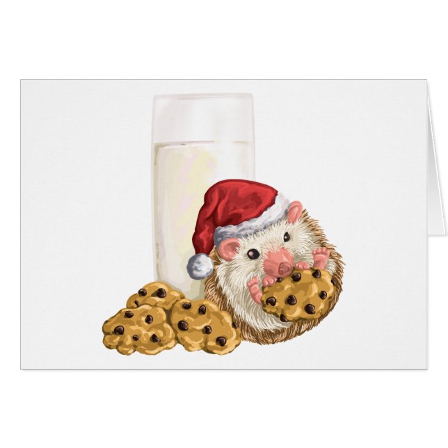 Porc de biscuit de Noël (Devant horizontal)