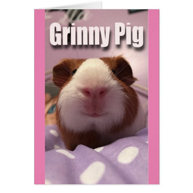 Porc de Grinny (Devant)