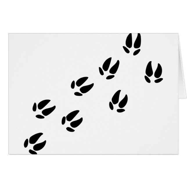 Porc - voies (Devant horizontal)