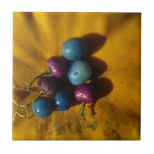 Porcelain Berries en Pumpkin Tegeltje