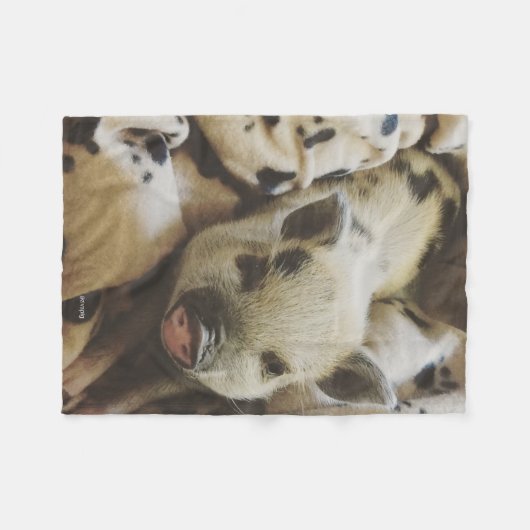 Porcelet de bébé dans une couverture (Devant (Horizontal))