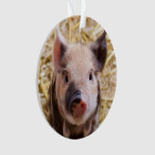 Porcelet mignon (devant)