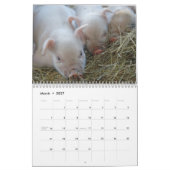 Porcelets doux 2018 - calendrier mural de porcs de (Mar 2027)