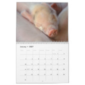 Porcelets doux 2018 - calendrier mural de porcs de (Jan 2027)