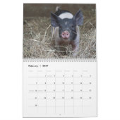 Porcelets doux 2018 - calendrier mural de porcs de (Feb 2027)