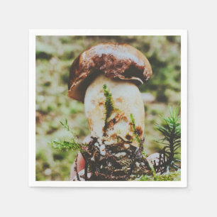 Porcini Mushroom in het Zweedse bos Servet