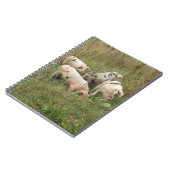 Porcs dans un Carnet de campagne (Côté gauche)
